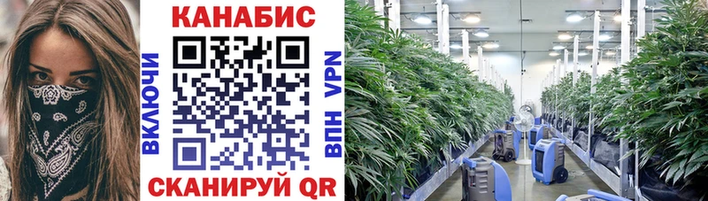 Все наркотики Нахабино Alpha-PVP ГАШ МАРИХУАНА