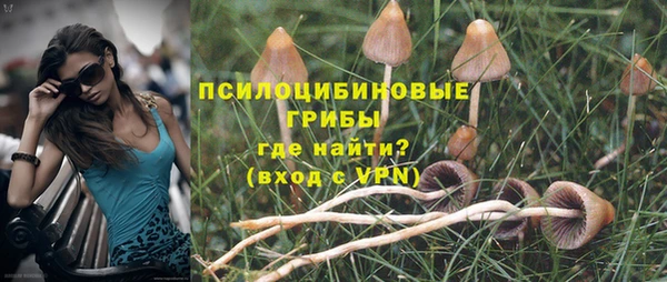 ГАЛЛЮЦИНОГЕННЫЕ ГРИБЫ Медвежьегорск