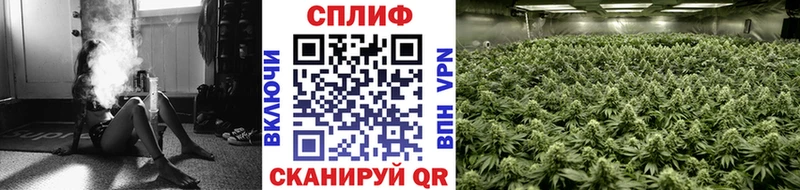 блэк спрут ONION  как найти закладки  Нахабино  Бошки Шишки индика 